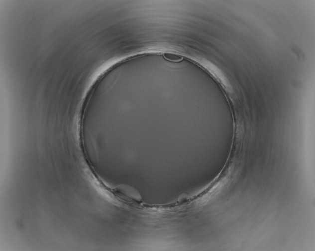 X0000110990854200907022115