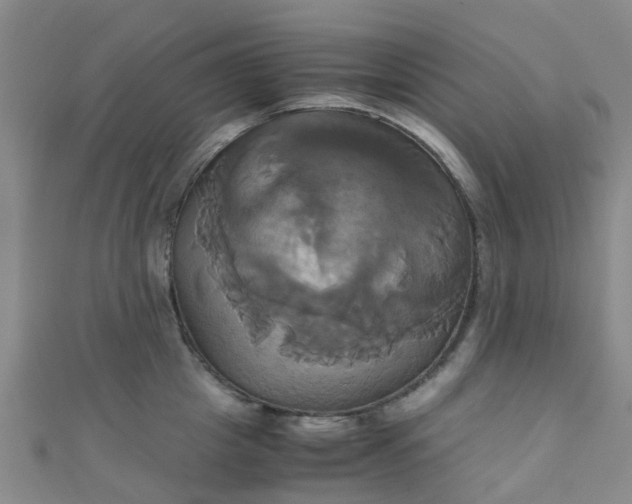 X0000110990857200907022115