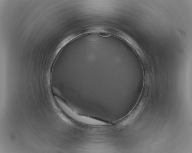 X0000110990858200907022115
