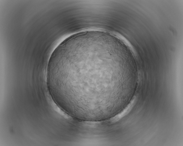 X0000110990860200907022115