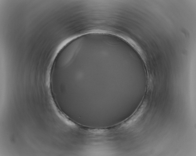 X0000110990862200907022115