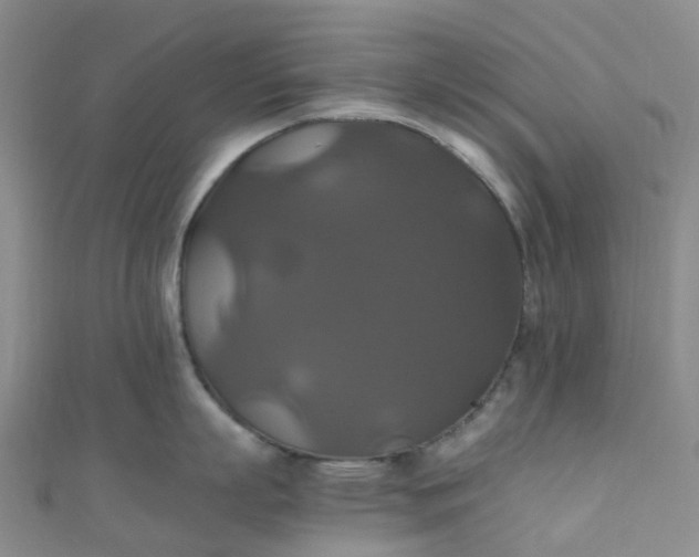 X0000110990863200907022115