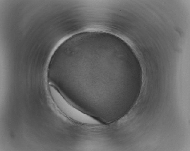 X0000110990864200907022115