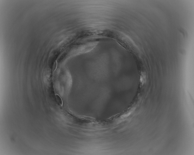 X0000110990867200907022114
