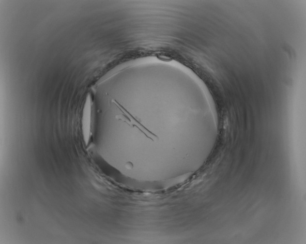 X0000110990868200907022114