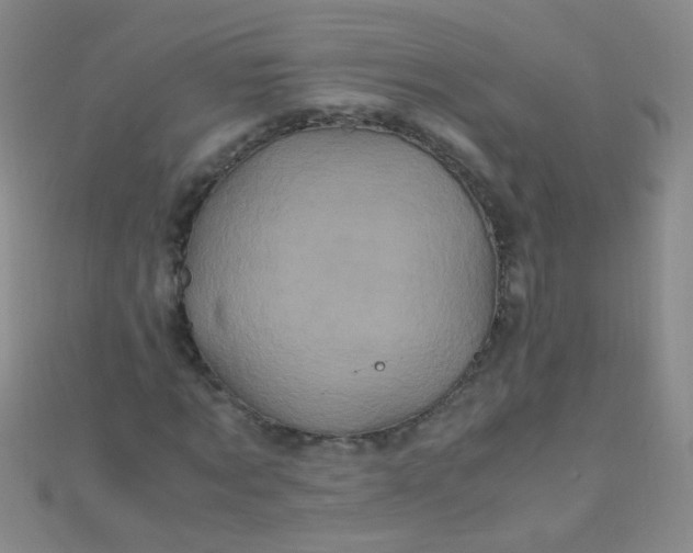 X0000110990869200907022114