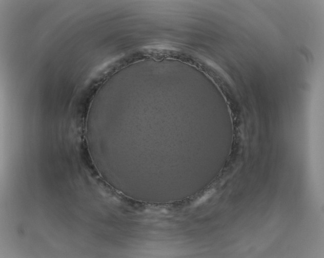 X0000110990870200907022114