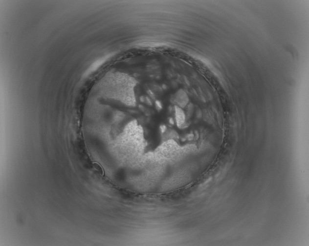 X0000110990871200907022114