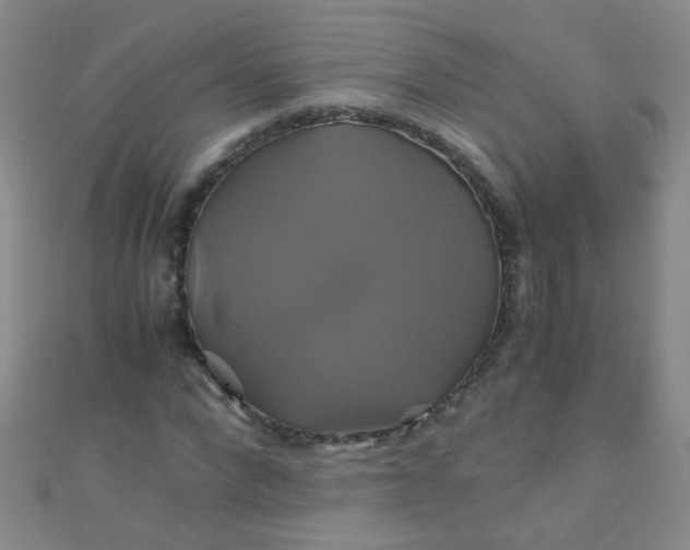 X0000110990872200907022114