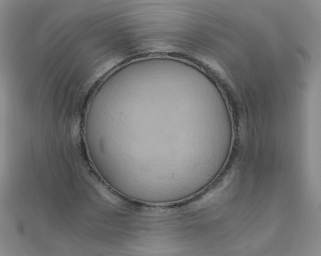 X0000110990873200907022114