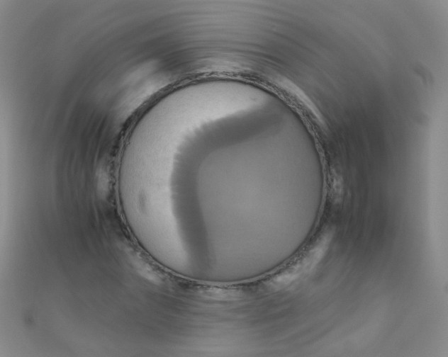X0000110990874200907022114