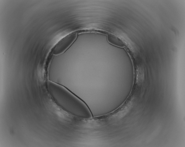 X0000110990876200907022114
