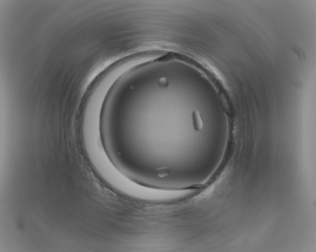 X0000110990877200907022114