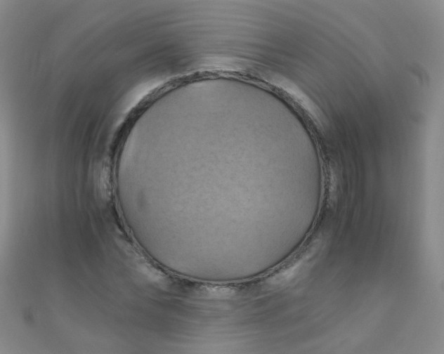 X0000110990878200907022114