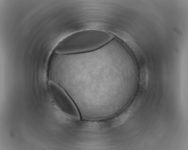 X0000110990880200907022114