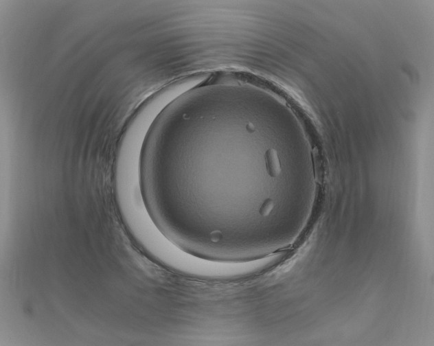 X0000110990881200907022114