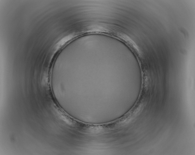 X0000110990882200907022114