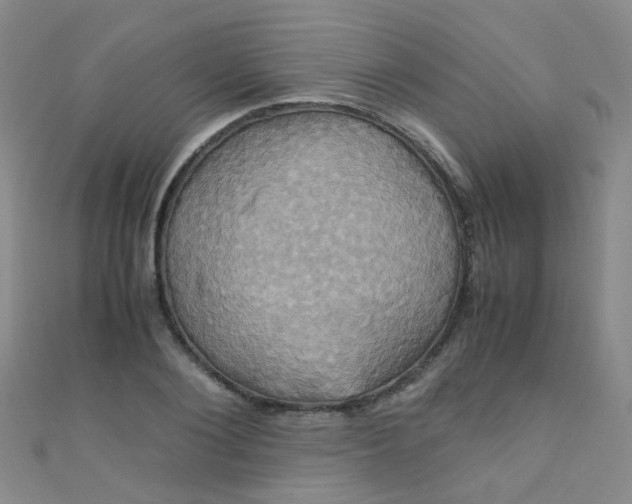 X0000110990884200907022114