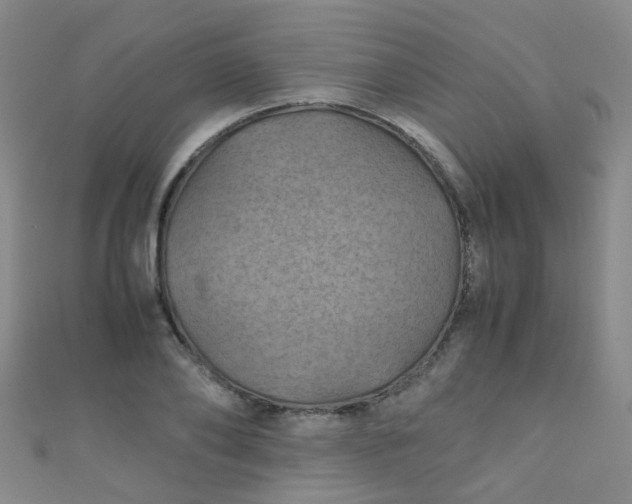 X0000110990886200907022114