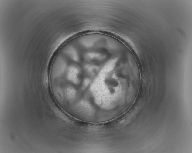 X0000110990887200907022114