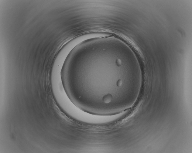 X0000110990889200907022114