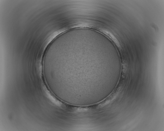 X0000110990890200907022114