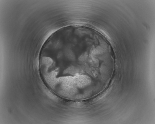 X0000110990891200907022114