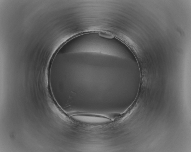 X0000110990892200907022114