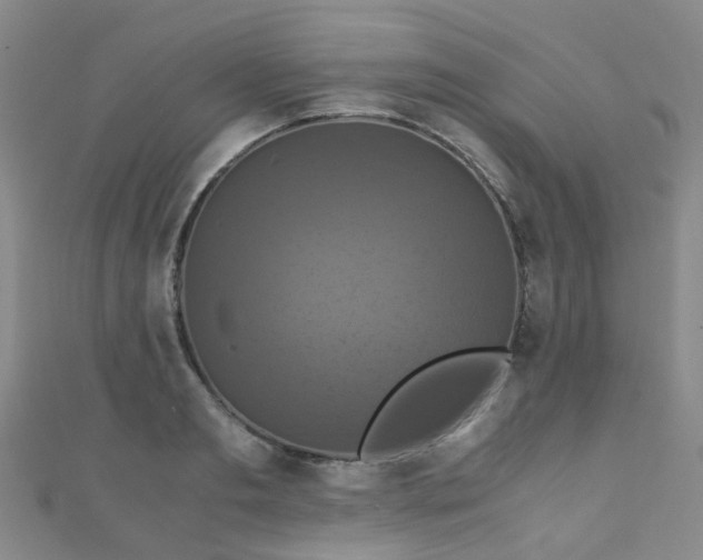 X0000110990893200907022114