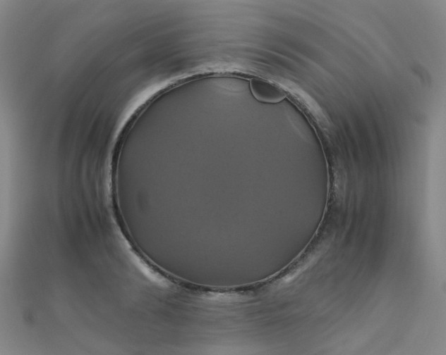 X0000110990894200907022114