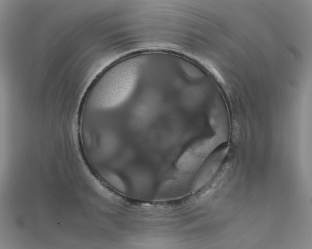 X0000110990895200907022114