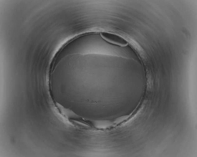 X0000110990896200907022114