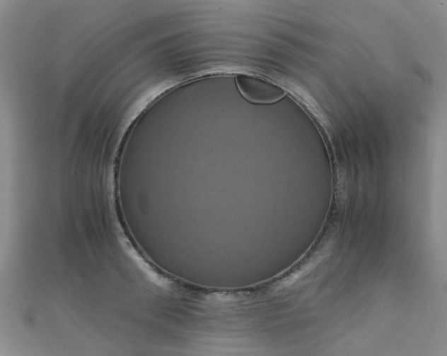 X0000110990898200907022114