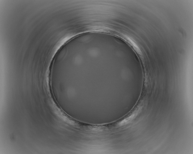X0000110990899200907022114