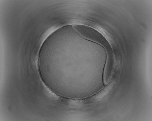 X0000110990901200907022114