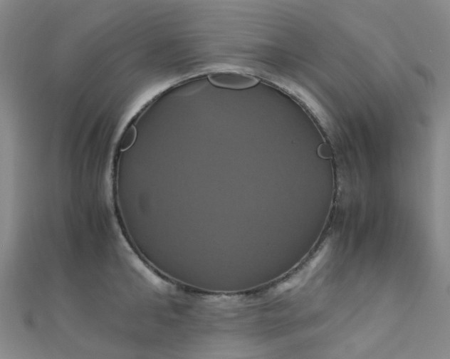 X0000110990902200907022114