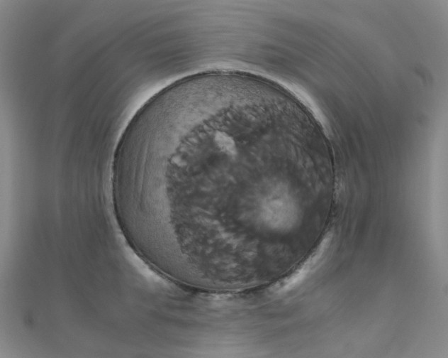 X0000110990903200907022114