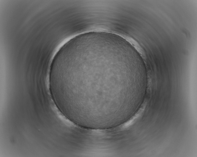 X0000110990904200907022114