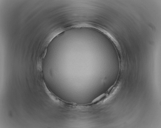 X0000110990905200907022114