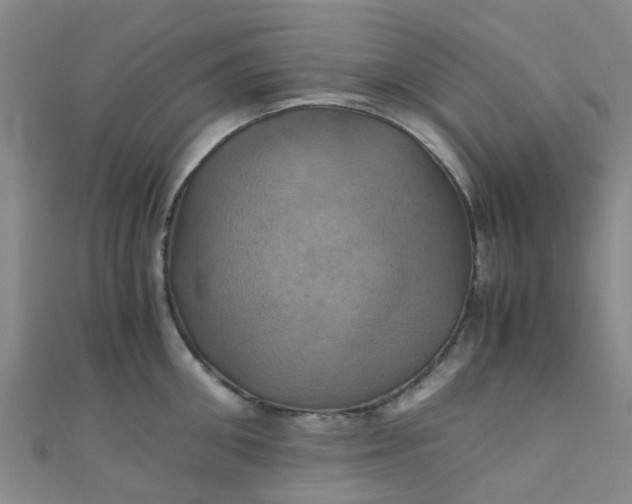 X0000110990906200907022114