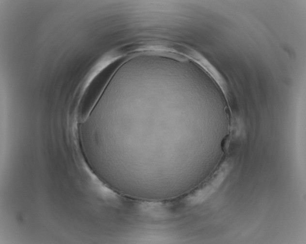 X0000110990909200907022114