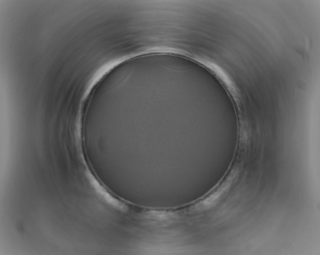 X0000110990910200907022114