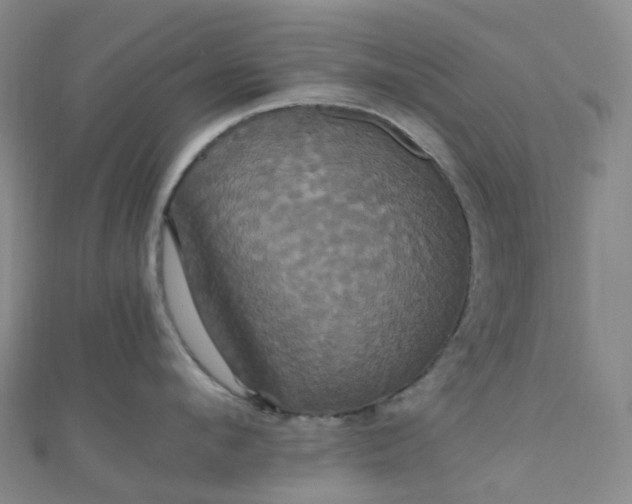 X0000110990912200907022114