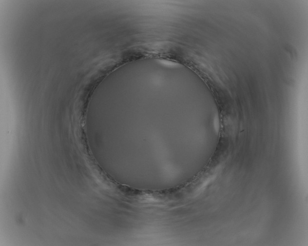 X0000110990913200907022113