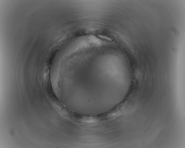 X0000110990914200907022113