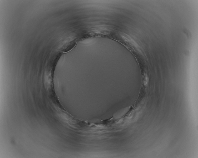 X0000110990915200907022113