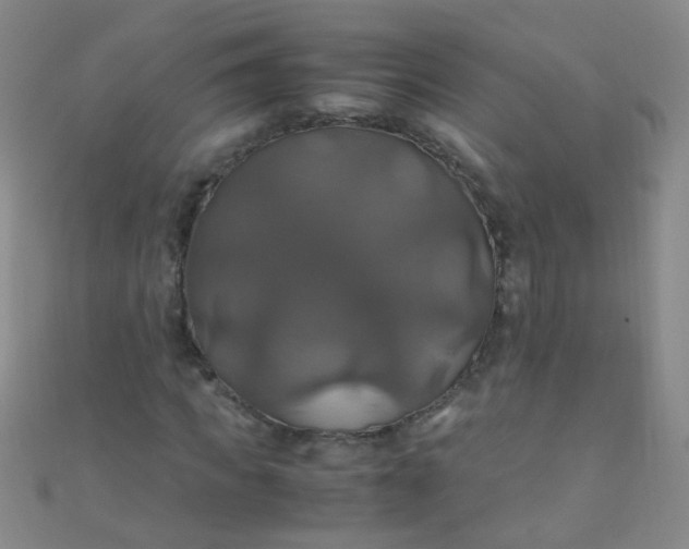 X0000110990917200907022113