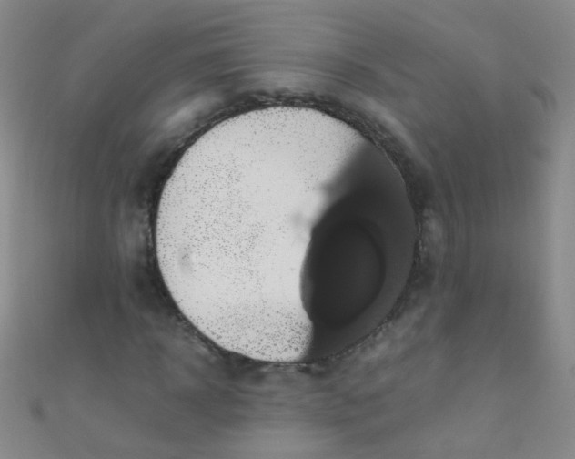 X0000110990918200907022113