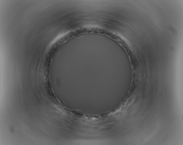 X0000110990919200907022113