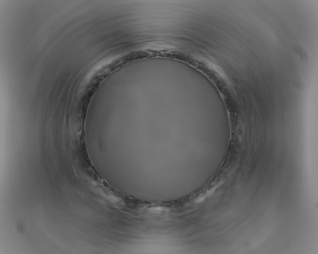 X0000110990920200907022113